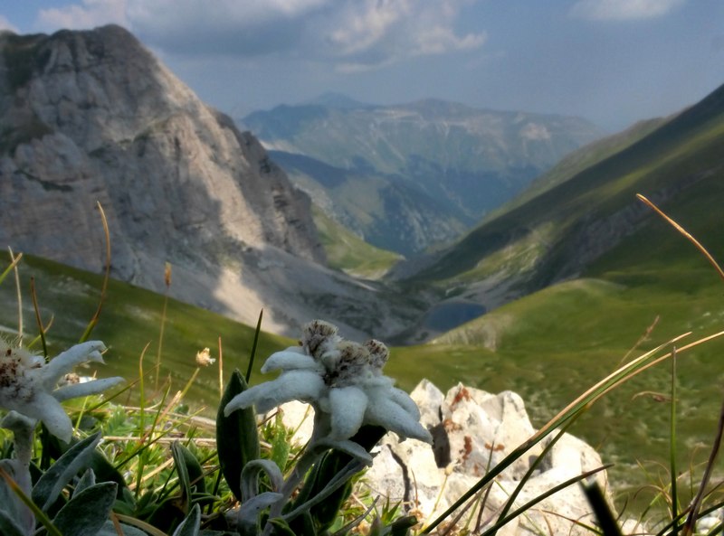 Monti Sibillini 2015